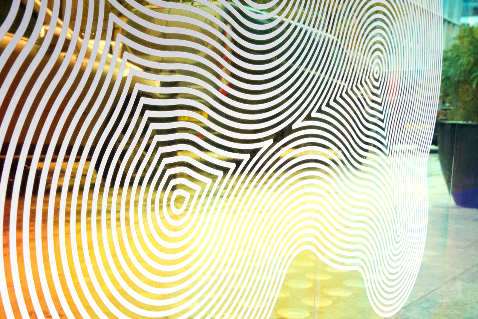 window display with printed vinyl